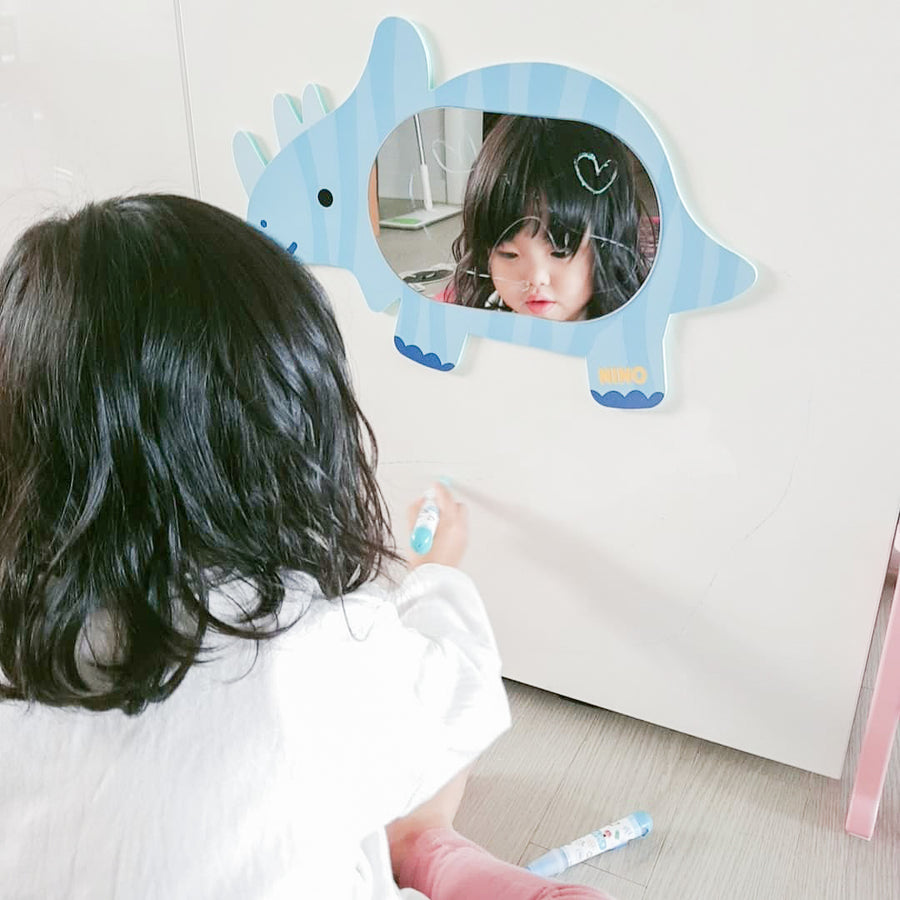Mirror Board - Dinosaurs